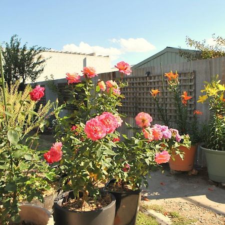Cooma Cottage Exterior foto